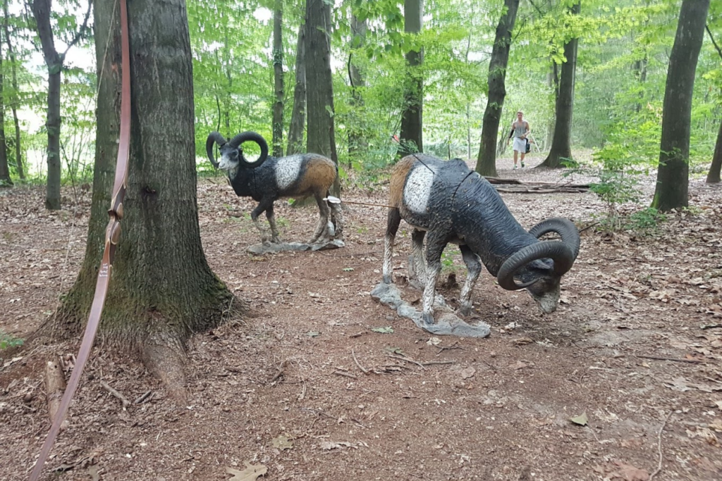 atlana del Motto Rosso B&B