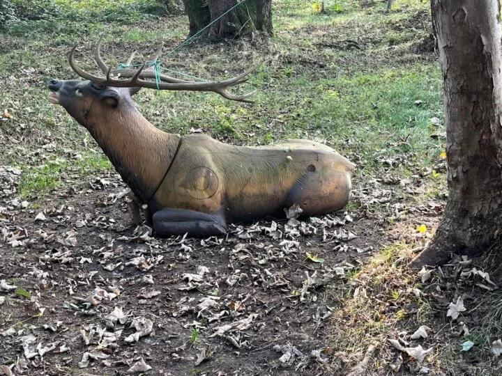 whatsapp image 2025 10 16 at 16.25.32 uai 720x540.jpeg