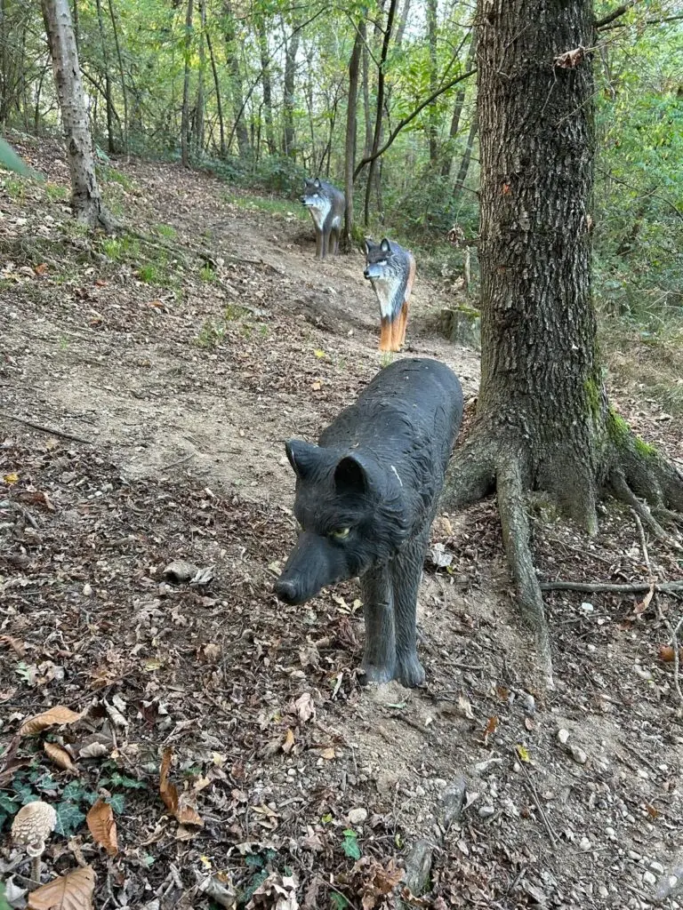 Lupi in posa nel bosco